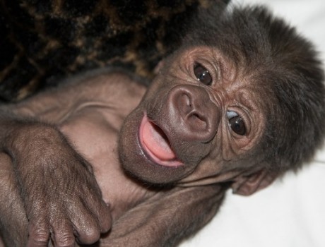 14 Notable Safari Park Births of 2014: Joanne