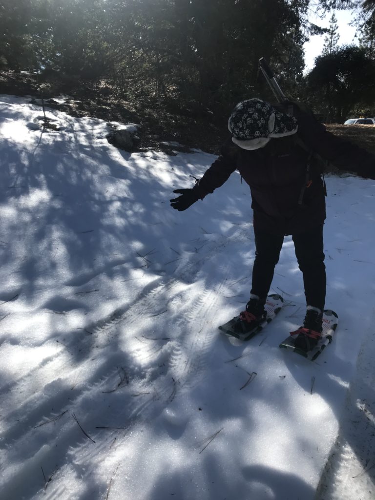 Frog Tracking – San Diego Zoo Wildlife Alliance Stories