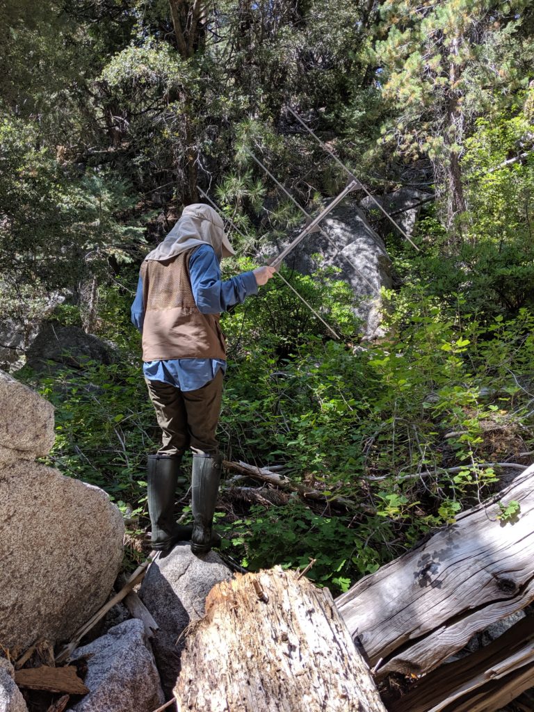 Frog Tracking – San Diego Zoo Wildlife Alliance Stories